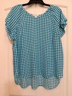 CJ Banks Blue and White Gingham Top size X